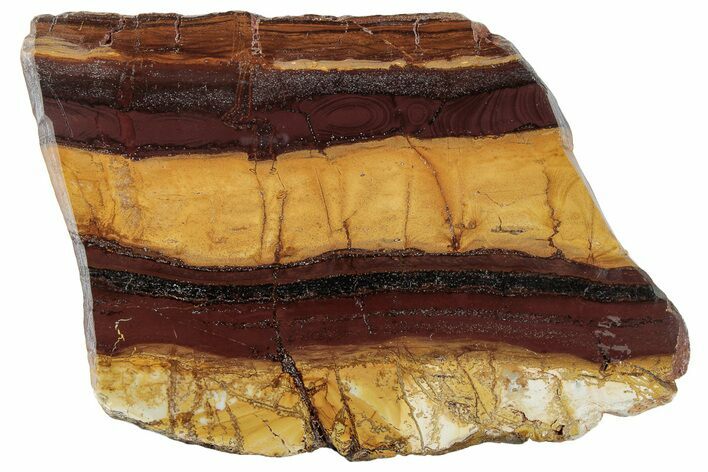 Polished Desert Sunset Banded Iron Slab - Western Australia #221497